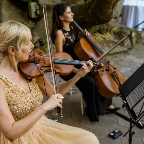 Violina violončelo - WonderStrings (4)