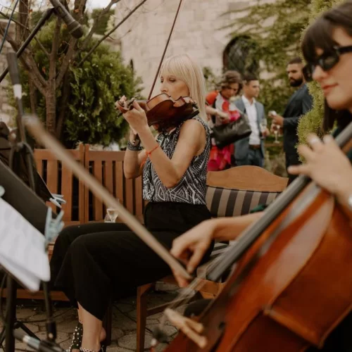 Violina violončelo - WonderStrings (7)