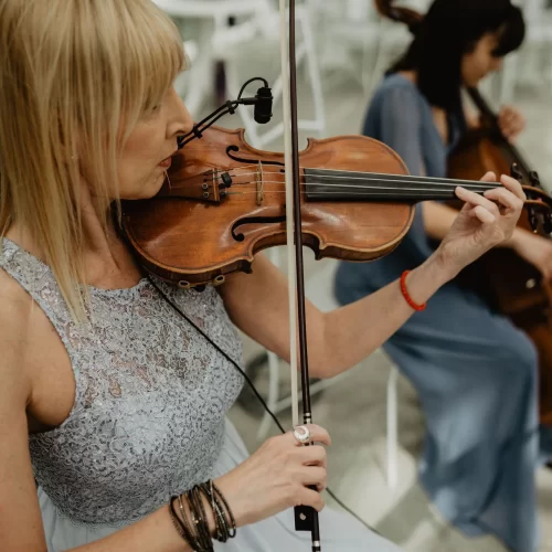 Violina violončelo - WonderStrings (9)