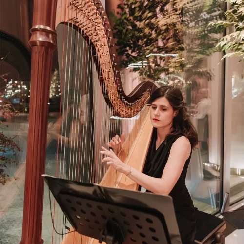 WonderStrings - Harfa1