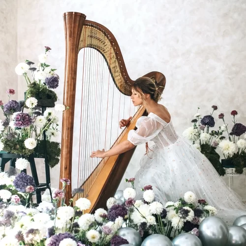 WonderStrings - Harfa2