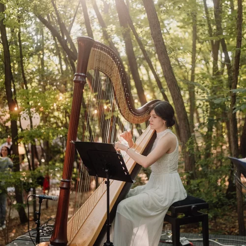 WonderStrings - Harfa3