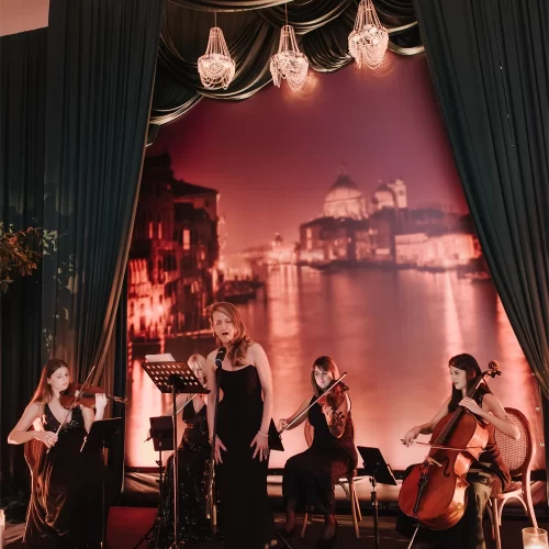 WonderStrings - Sastavi sa glasom (3)