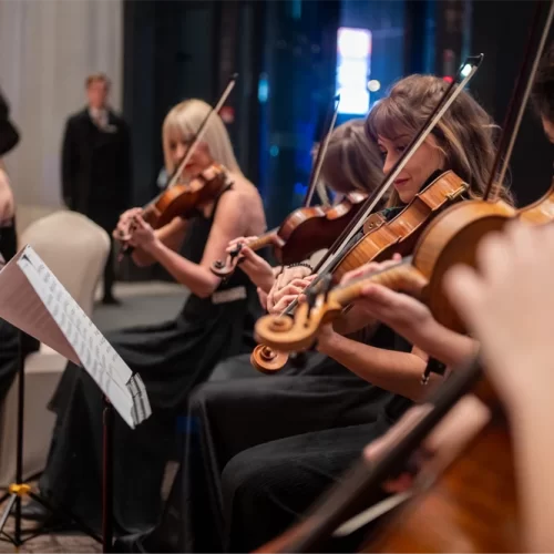 WonderStrings - kamerni orkestar (2)