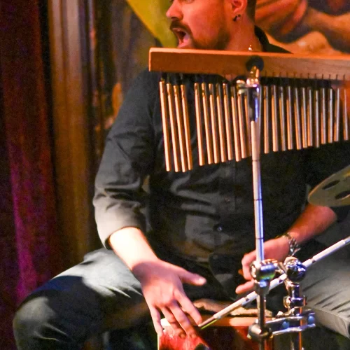 WonderStrings - klupske svirke (4)