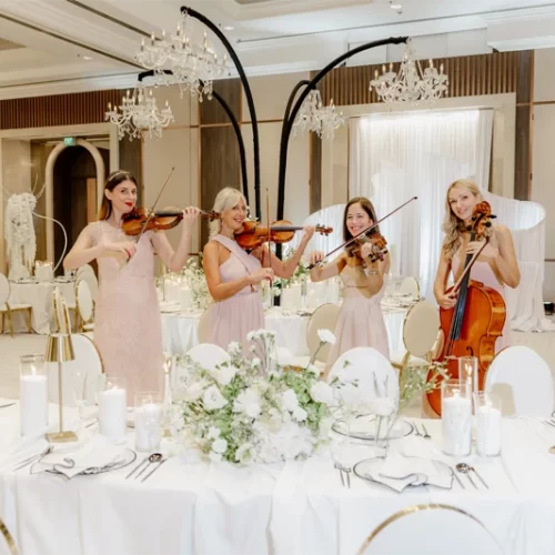 WonderStrings kvartet (35)