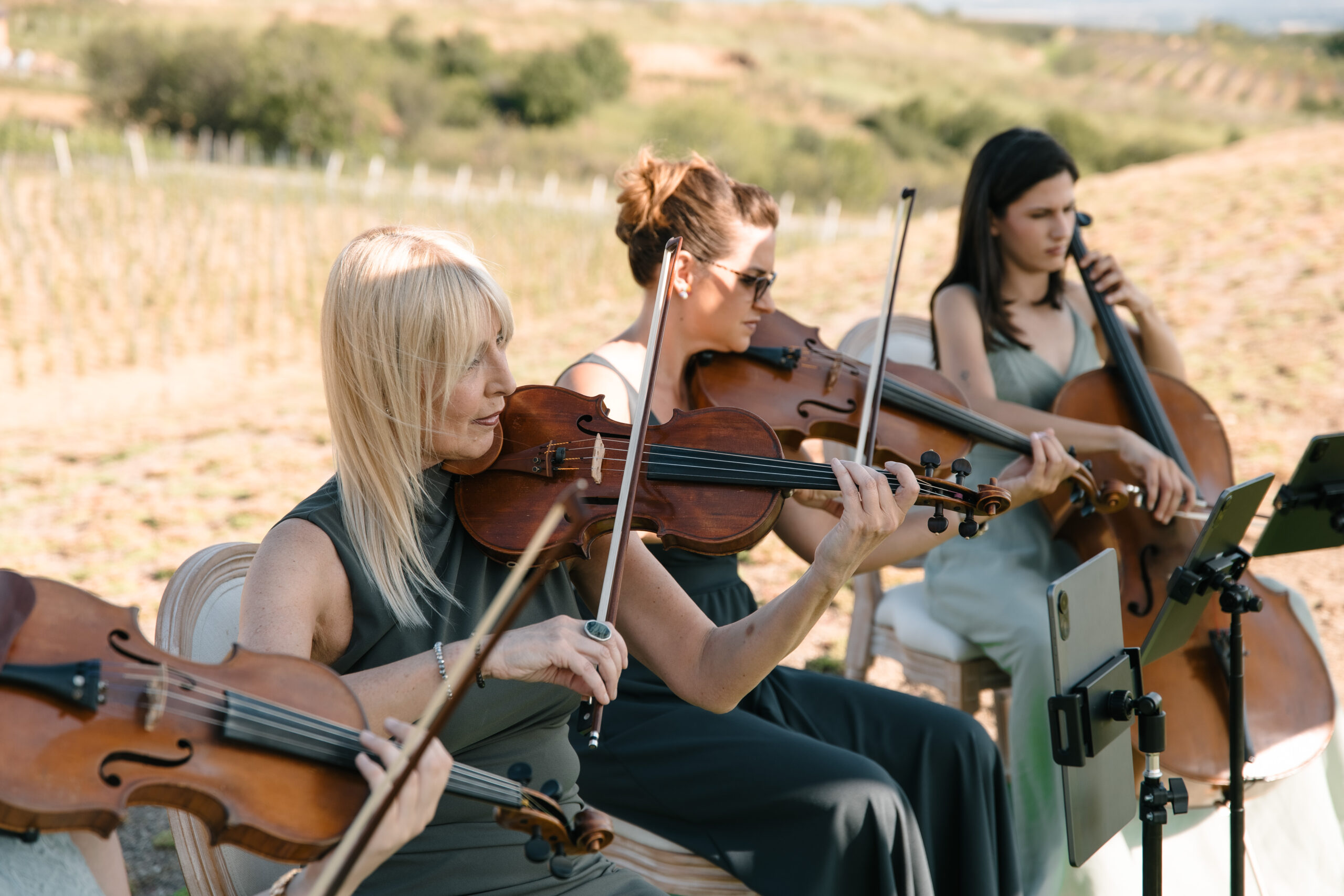 Wonder Strings venčanje